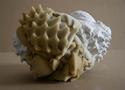 object no 40, detail object%20no%2040%2C%20detail (thumbnail)