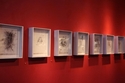 "Specimens" %22Specimens%22 (thumbnail)