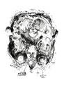 Kamila Szczesna - presence/absence - animation