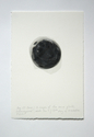 13%20images%20of%20the%20plate%20no3%2C%20superimposed (thumbnail)