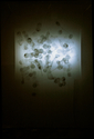 from%20the%20%22Self%22%20series (thumbnail)