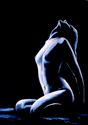 Basking in The Moonlight