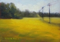 Crossing%20Yellow%20Fields (thumbnail)