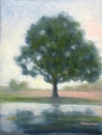 Rain%20Reflection (thumbnail)