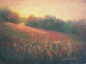 Tapestry%20Field (thumbnail)