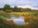 Cold%20Brook%20Pond (thumbnail)
