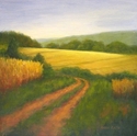 Cold%20Brook%20Fields (thumbnail)