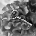 Photography--Black & White-AbstractSuspension