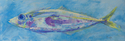 Painting--Pastels-AnimalsBig Eye Fish