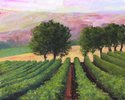 Painting-Marche Mountains