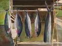 Painting--Watercolor-Still LifeTahiti Tuna