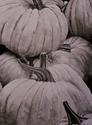 Painting-Sepia Stems