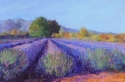 Painting-Lavender Field