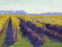 Painting-Harvest Vines
