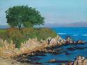 Painting-Monterey Rocks!