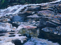 Painting--Pastels-SeascapeGlacier Pots