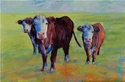 Painting--Pastels-Animalslarry, mo, & curly