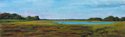 Painting--Pastels-LandscapeMy Backyard Marsh