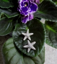 Hill%20Tribe%20Silver%20Starfish%20Earrings (thumbnail)