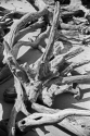 Kevin Boldenow - Seascape Photography Kevin Boldenow,
black & white landscape photography, abstract photography - Seascape Photography