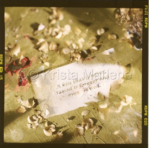 Photography-wasted kiss