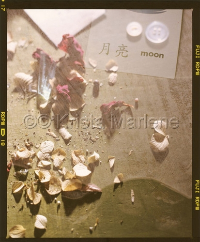 Photography-moon