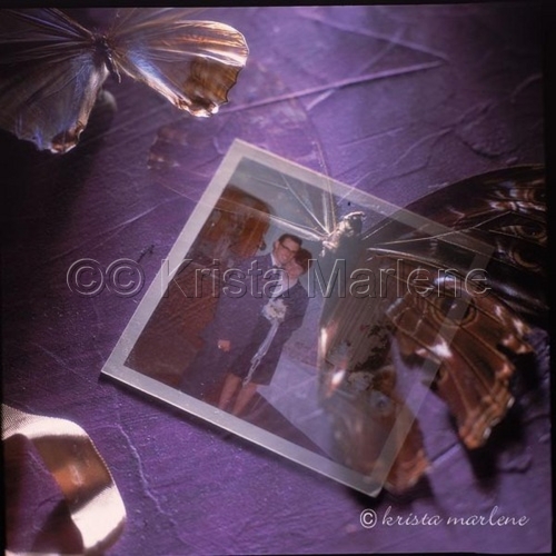 Photography-Still Life-untitled 3