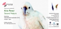 white,cockatoo - Realism Painting