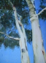 Ghostly Gums