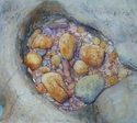 Rockpools