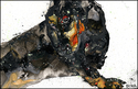 Diggity%20dog (thumbnail)