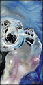 Polar-ized (thumbnail)