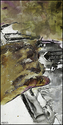 Key%20notes (thumbnail)