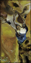My%20my%2C%20Moriah (thumbnail)
