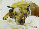 Sexy%20Dog (thumbnail)