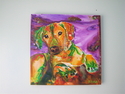 Moxie (thumbnail)