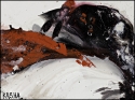 Embed. (thumbnail)