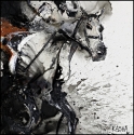 Splash.%20 (thumbnail)