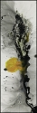 Stratus-C (thumbnail)