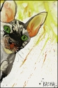 Lemon.%20Aide.%20 (thumbnail)
