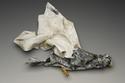 See-gull (thumbnail)