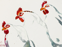duck.%20duck.%20rooster. (thumbnail)