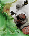 Welcome%20Waggin%27 (thumbnail)