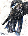 Phant-ele (thumbnail)