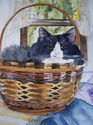Karen Hines - Bruno's Basket