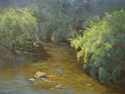 Brook%20Trout%20in%20Stream (thumbnail)