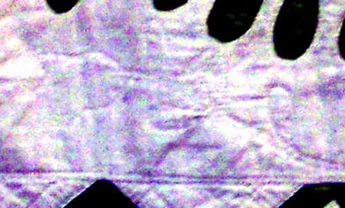 Wreath Quilt CU