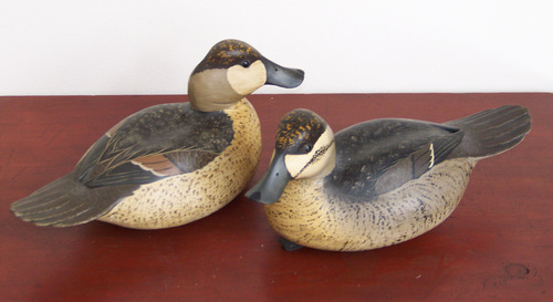 Bob White Ruddy Duck Pair
