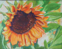 Kathryn Wedge,wedge,Fine Art,Painting,Cityscape,Portrait,Nature,Paper, Canvas,Acrylic,Watercolor,Landscape,Still Life,artist,paintings,acrylic on canvas,figurative,still life,plants,wisconsin - Floral Painting