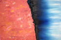 The%20curtain (thumbnail)